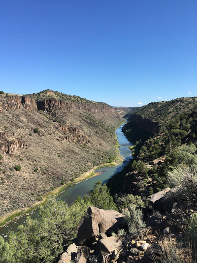 The Story Behind our Sagebrush Hydrosol