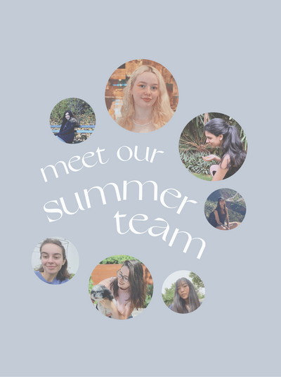 Introducing Our Summer Team