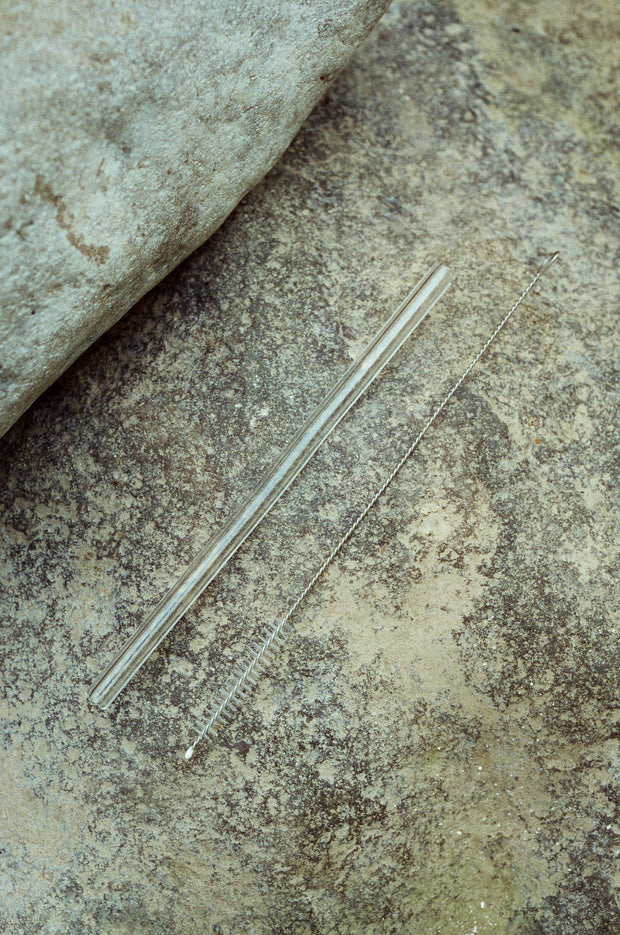 Smoothie Glass Straw